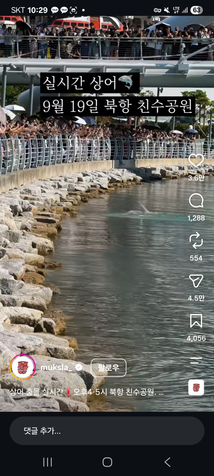 부산에 상어 떴다네요(0)