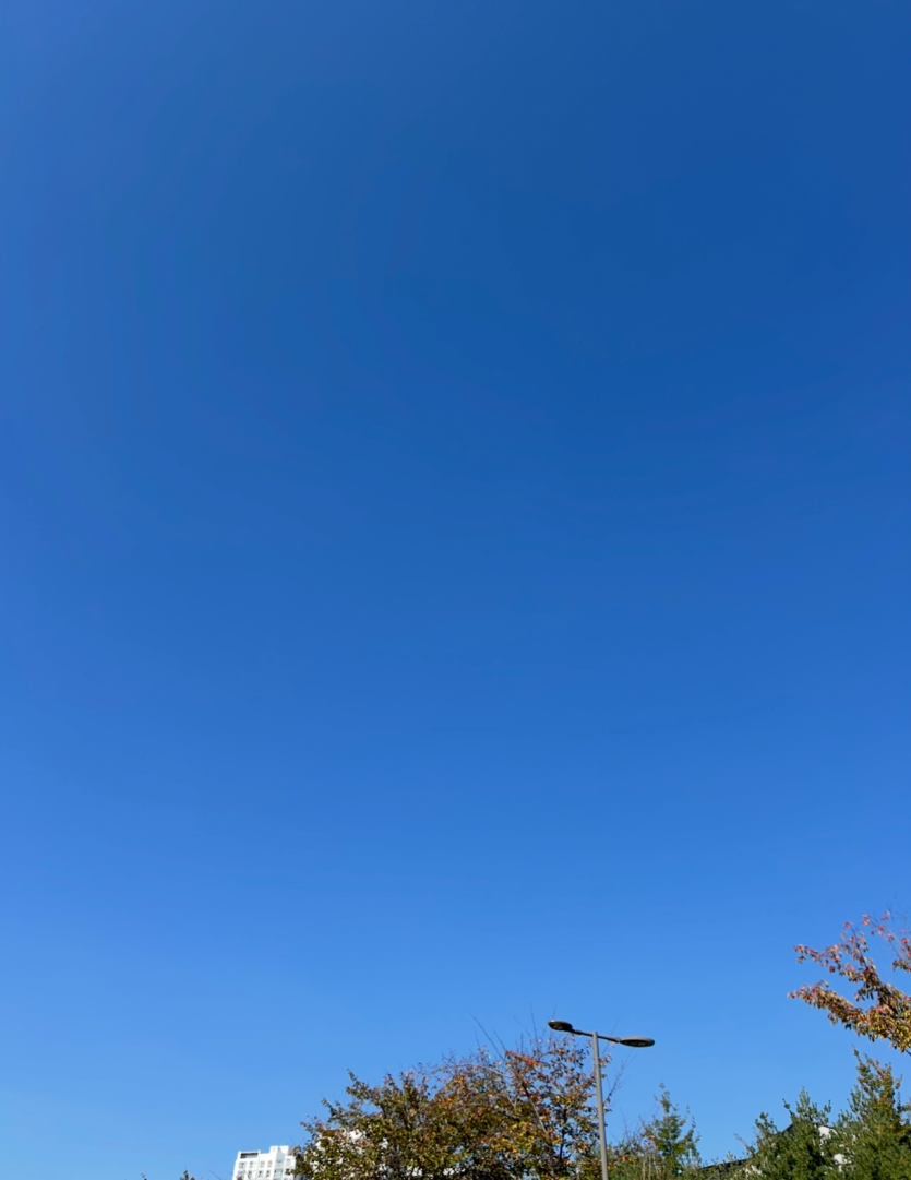 구름 한점 없다니..(0)