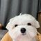 독사 오픈 ㄷㄷ(0)