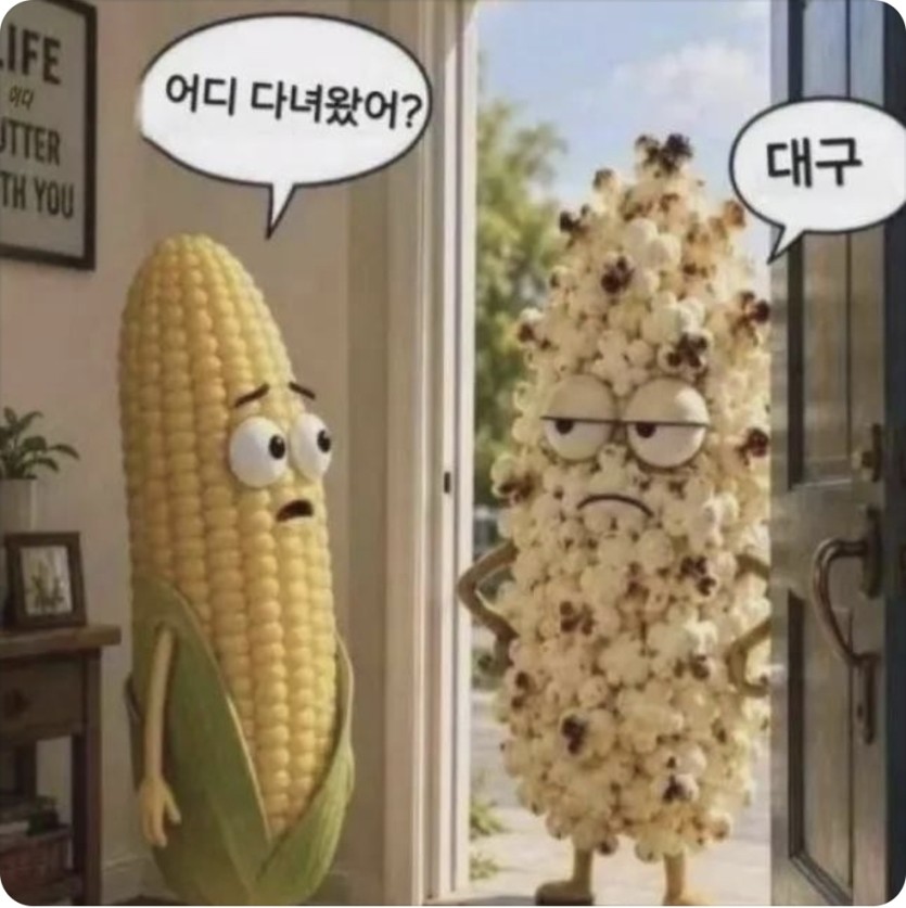 대구가 진자 더운가효(0)