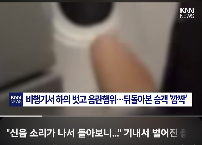 비행기에서 음란행위(0)