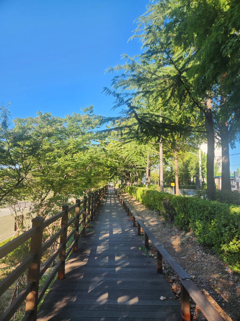 공원 한바퀴  돌고 ㅅㅅ(0)
