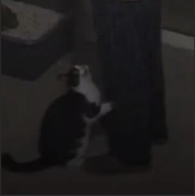 뭔가 거대한게 있다!!(1)