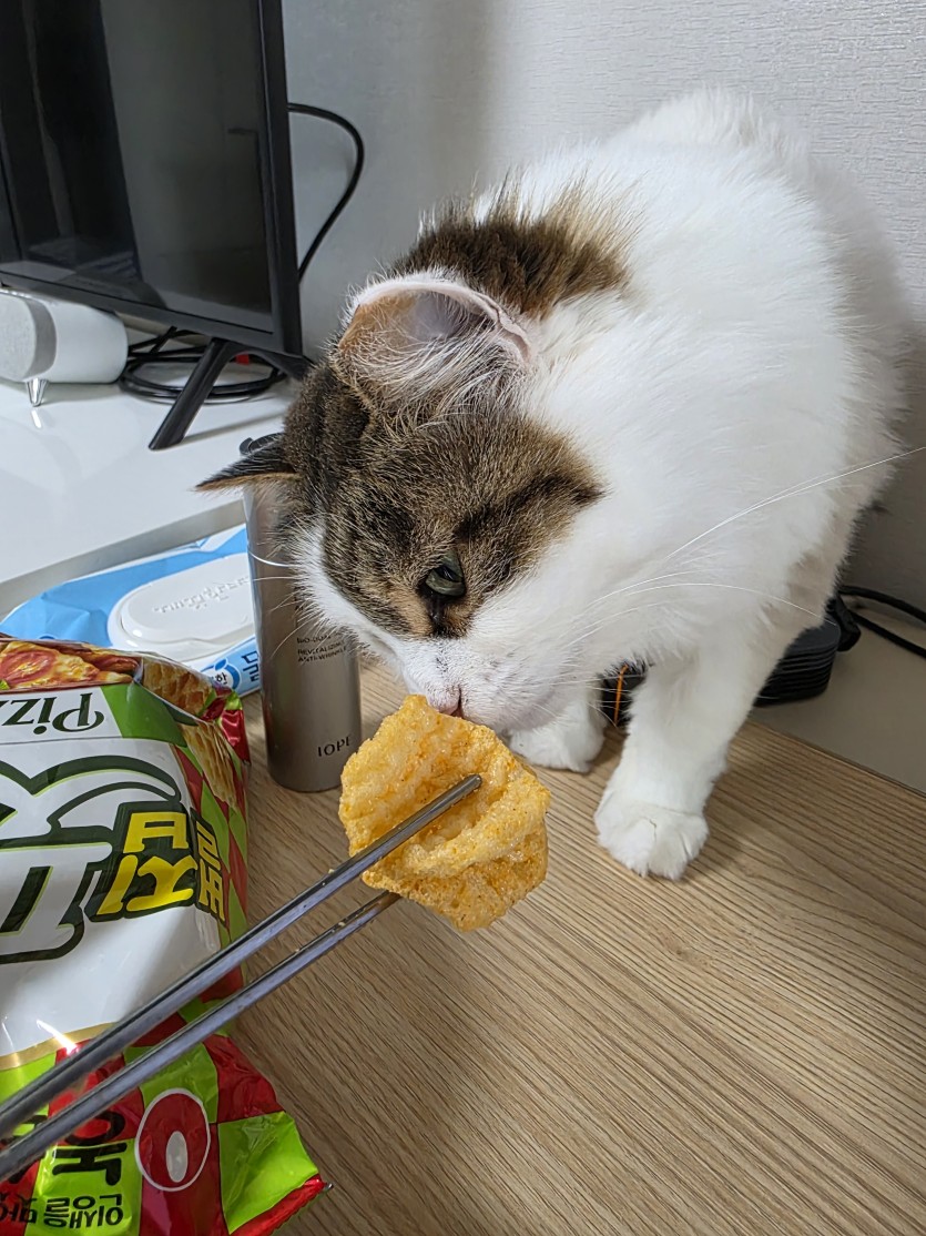 ㄱㅇ아 많이먹어(1)