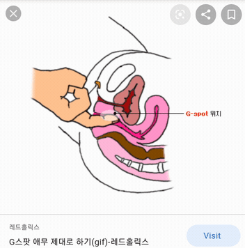 밤의 제왕...ㄷㄷ(2)