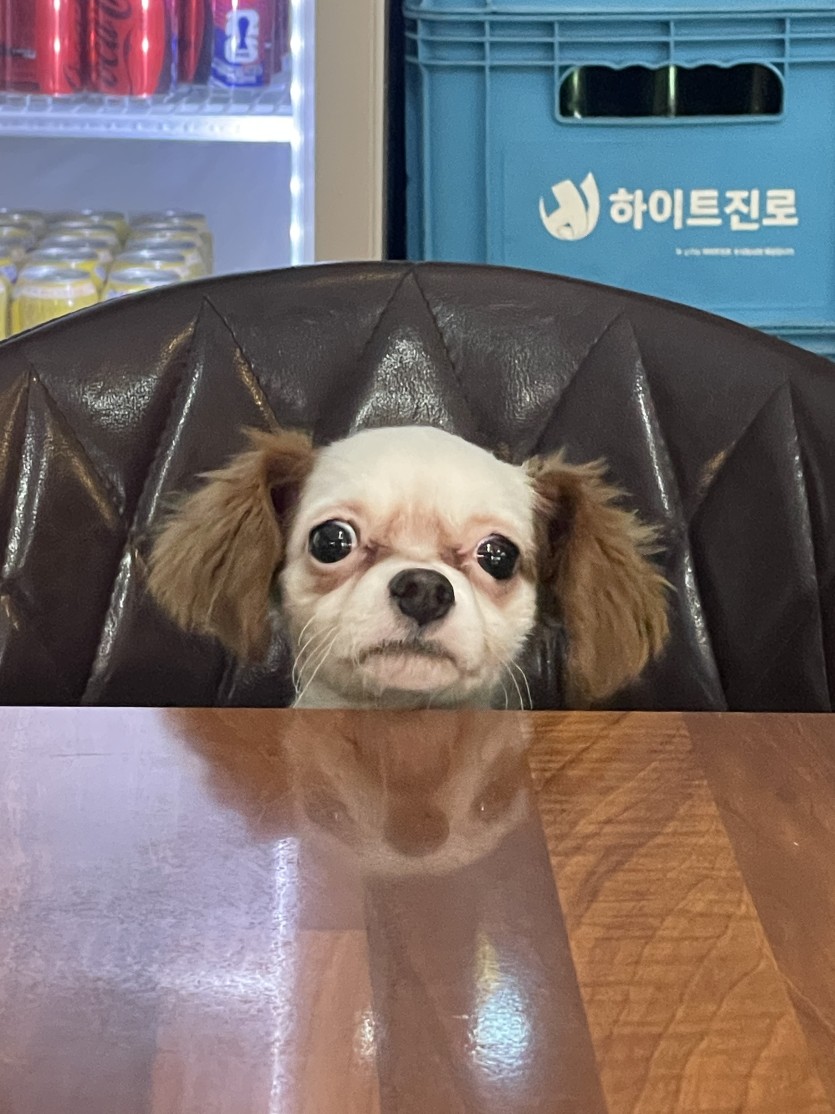 이거 팝니다.(0)