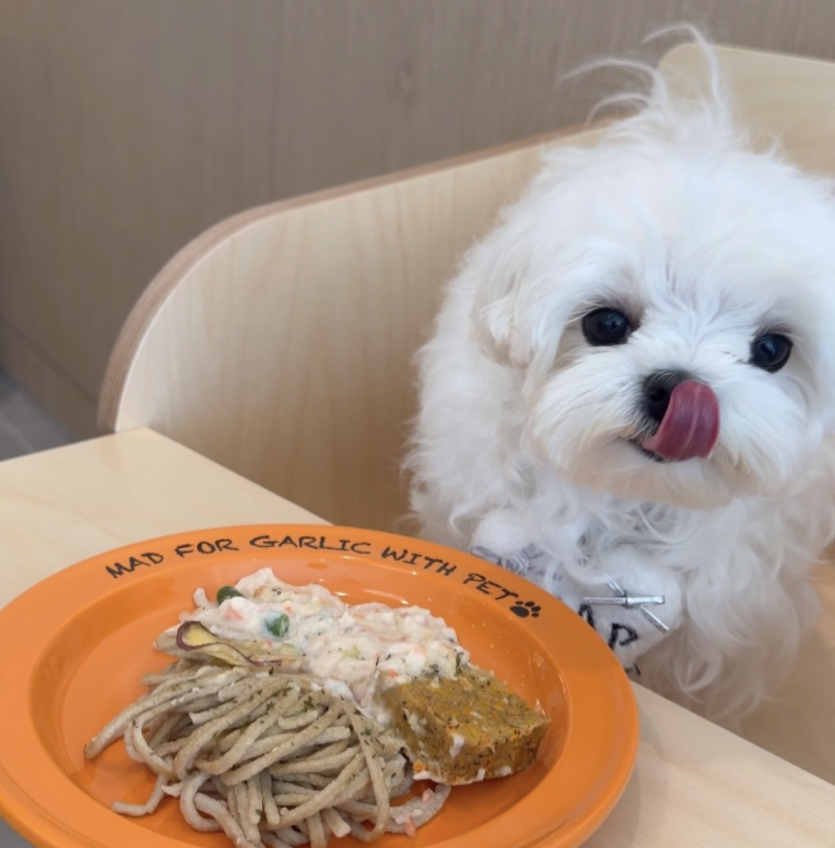 맛저녁 입니다(0)