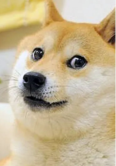 회원님들 야식 드시지마세요(0)