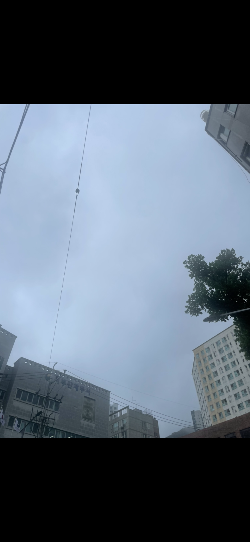 꿉꿉하니 흐리네요 ㅋㅋㅋ(0)