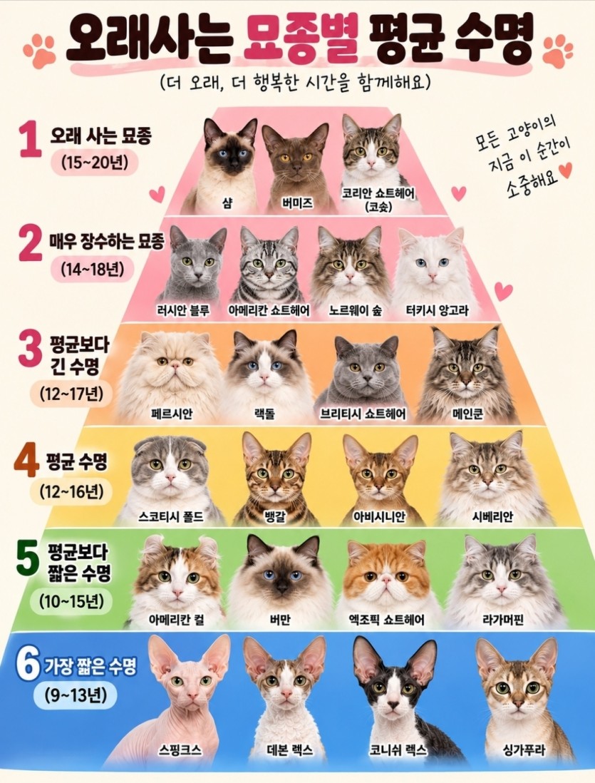 개와 고양이 평균 수명!(1)