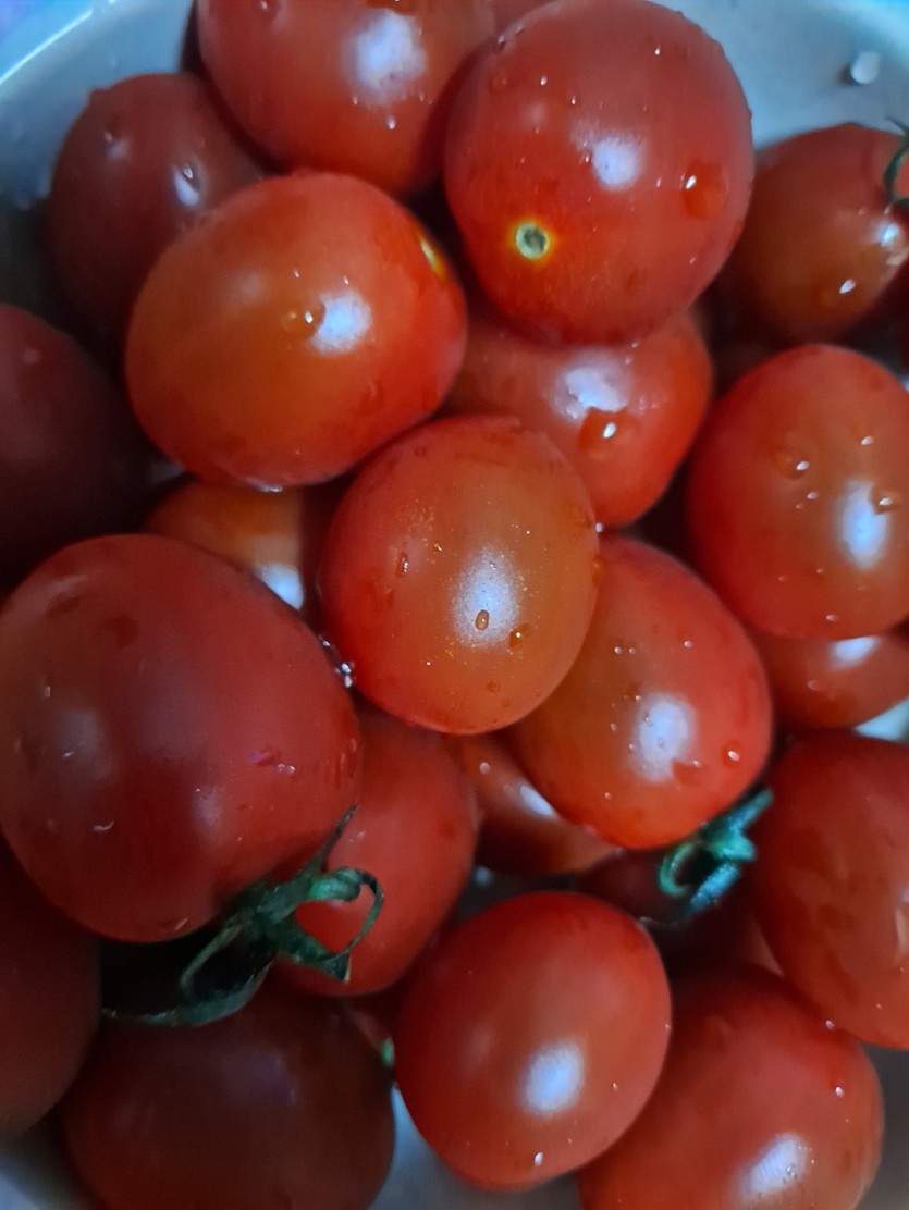 방토방토(0)