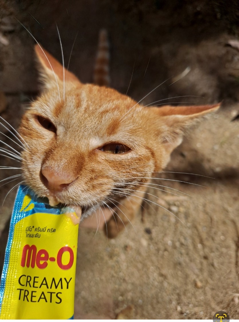 눈돌아갔네ㅋㅋㅋ(0)