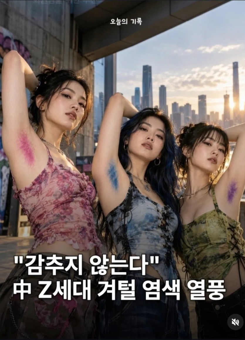 요즘 중국 유행(0)