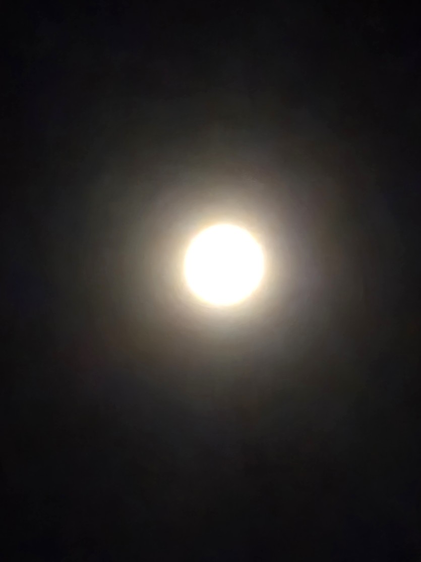 제가 직접 찍은 라이브(0)