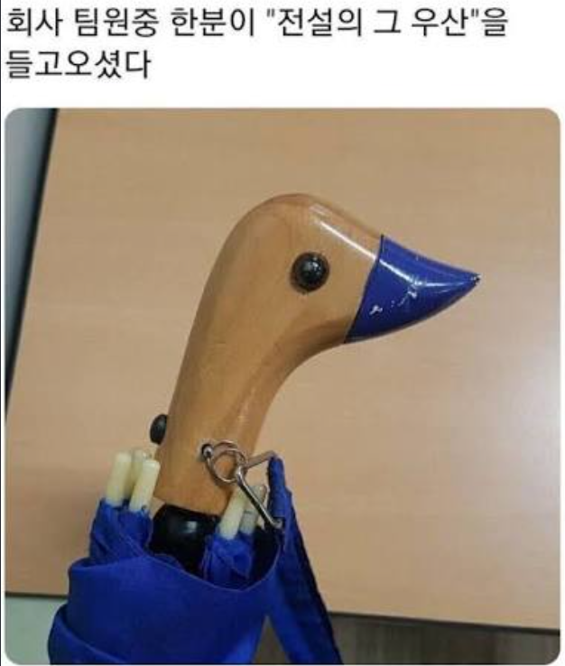 영양제 챙겨먹을시간이네여(0)