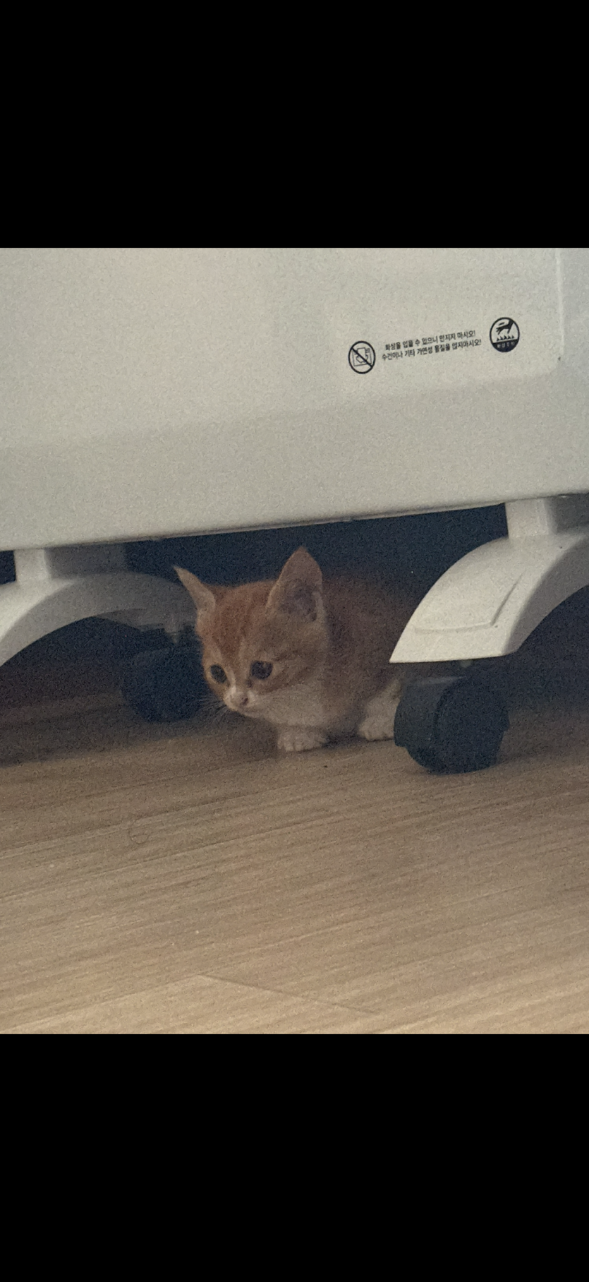 아직 친해지는(0)