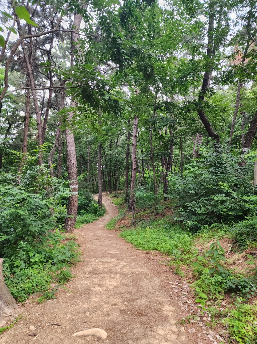 산악구보 뛰러왔습니다(0)
