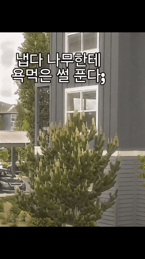 확대해서 보는 거 비추입니다(0)