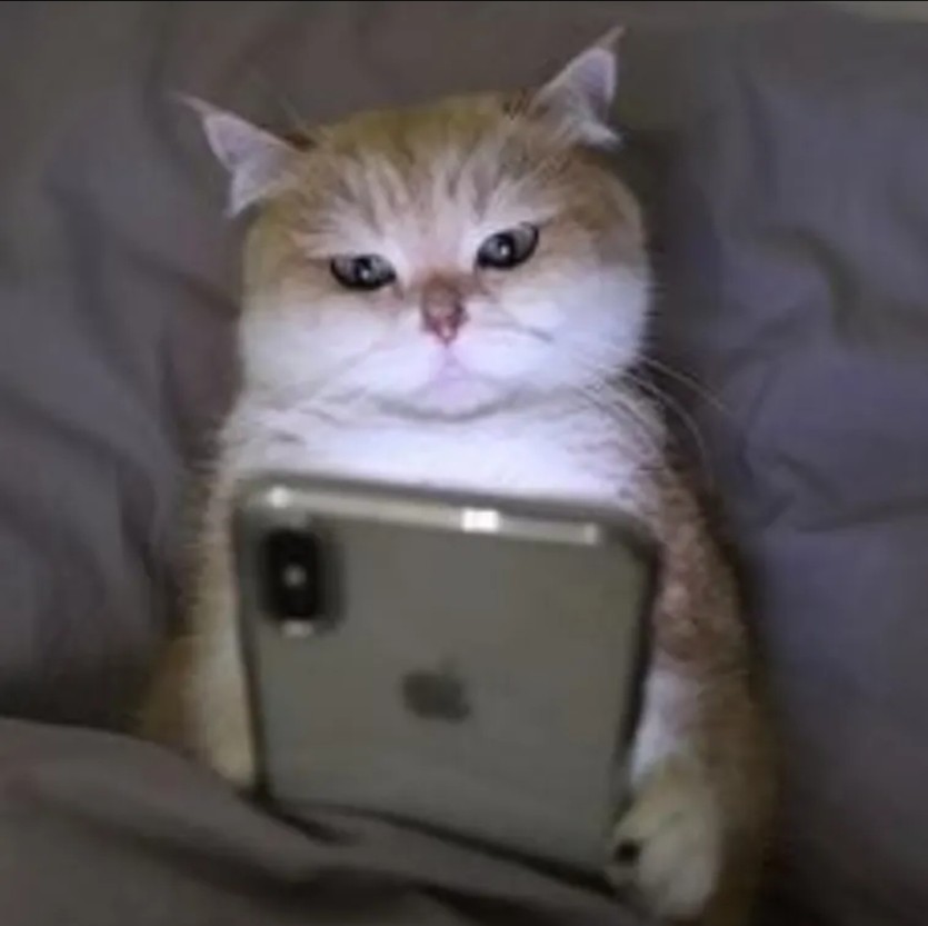 눕카판가보께효(0)