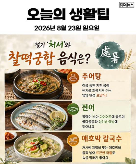 23일 생활꿀팁(0)