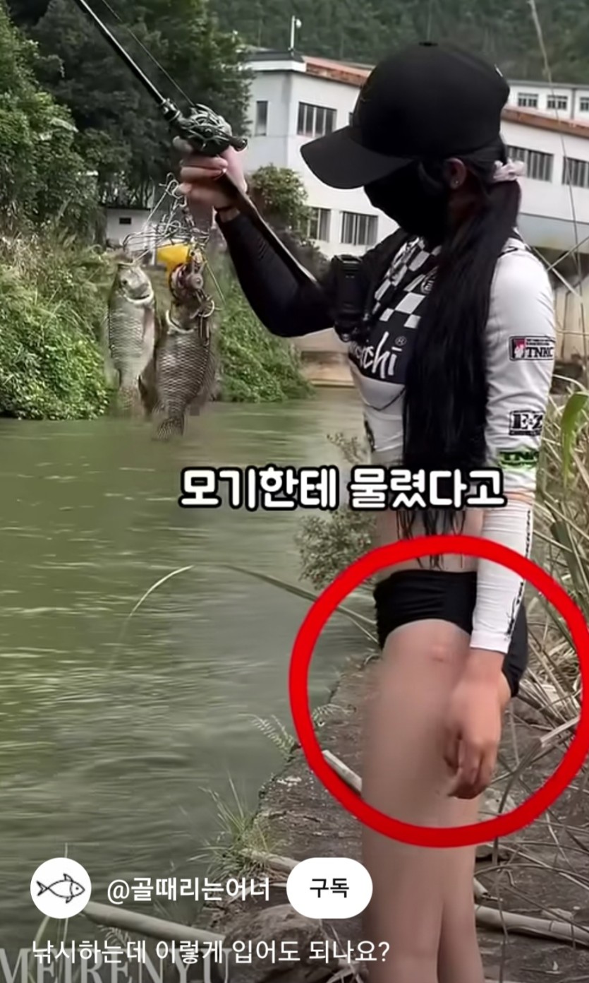 모기잇네요.(0)