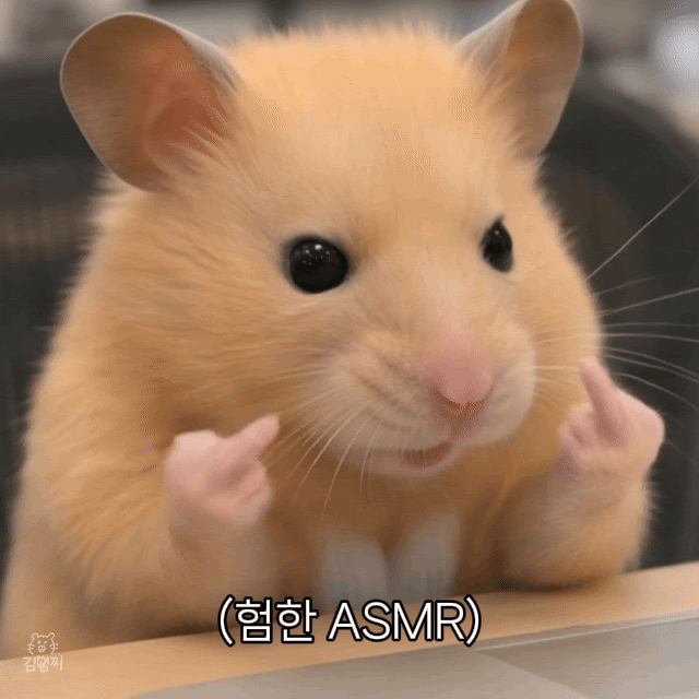 슬롯돌리다 현타왔습니다.(0)
