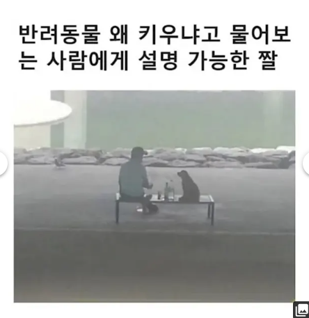 돈 잃었을때 도움될듯(0)