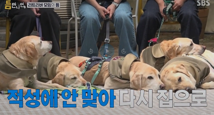어우 힐링을 해버렸습니다 ..(0)