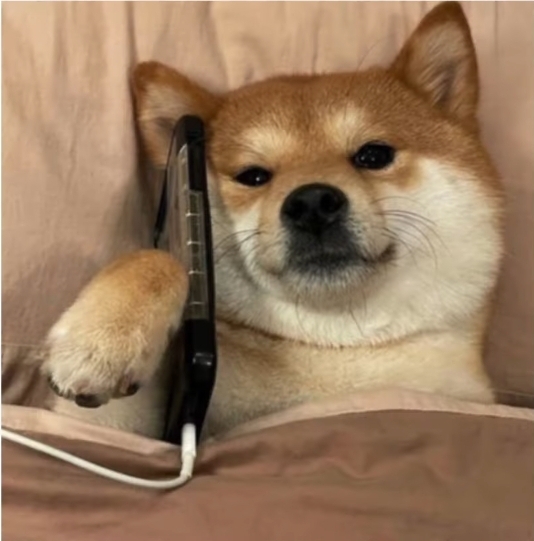 진짜 복권 몇달째 까는데(0)