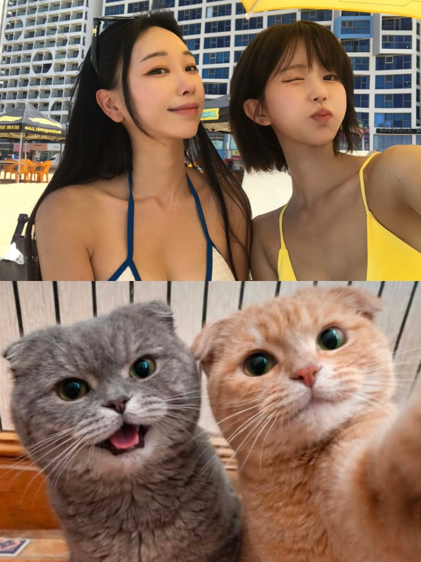 솔직히 말하면(0)