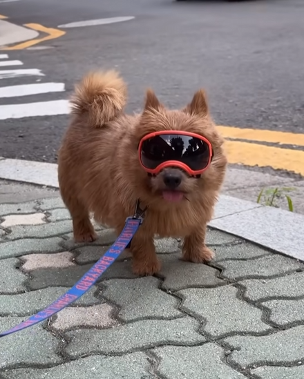 개간지(0)