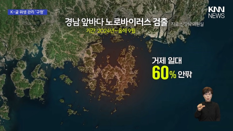 당분간 굴은 안드셔야합니다(0)