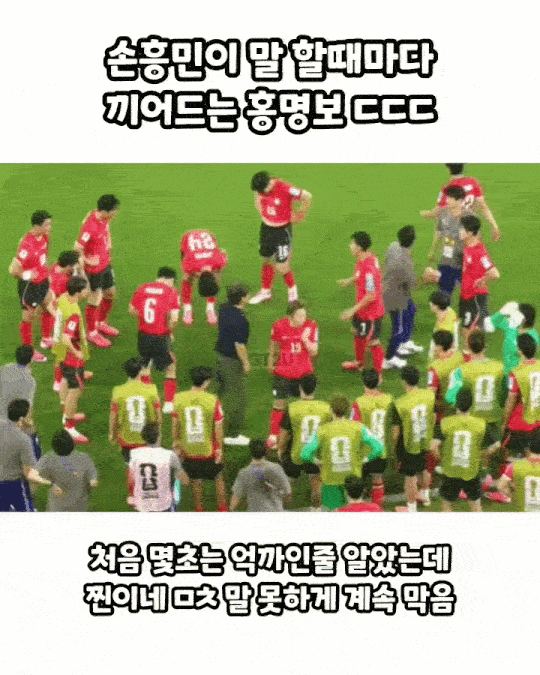 띵보 시롸냐(0)