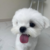 토요일 점심(0)