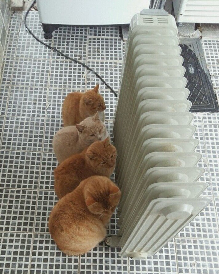 공기가 어제랑은 좀 다르네요(0)