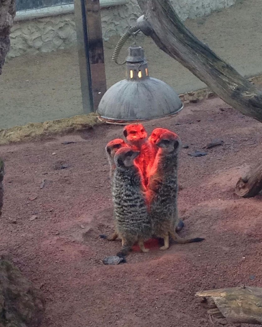 1페 화력이 살짝 약하네요(0)