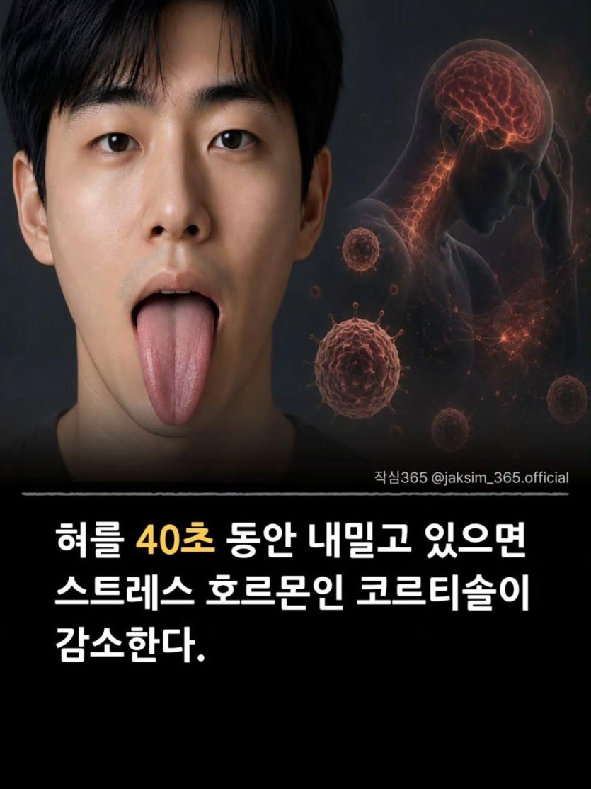 1분내로 스투레쑤 줄이는 방법입니다 @@(0)