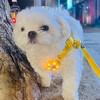 산책 하기 딱좋네여(0)