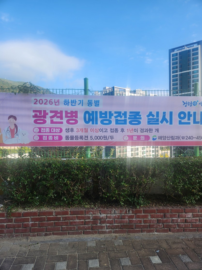광견병 예방주사.(0)