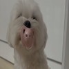 용병시대 ㄷㄷ(0)