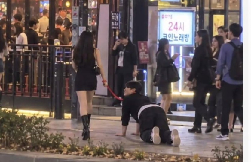 홍대 목줄녀 이건가요(0)