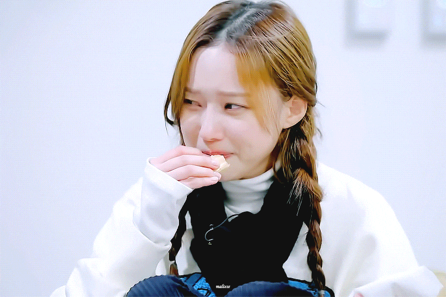 개같은 피목을 정통으로 쳐맞았습니다(0)