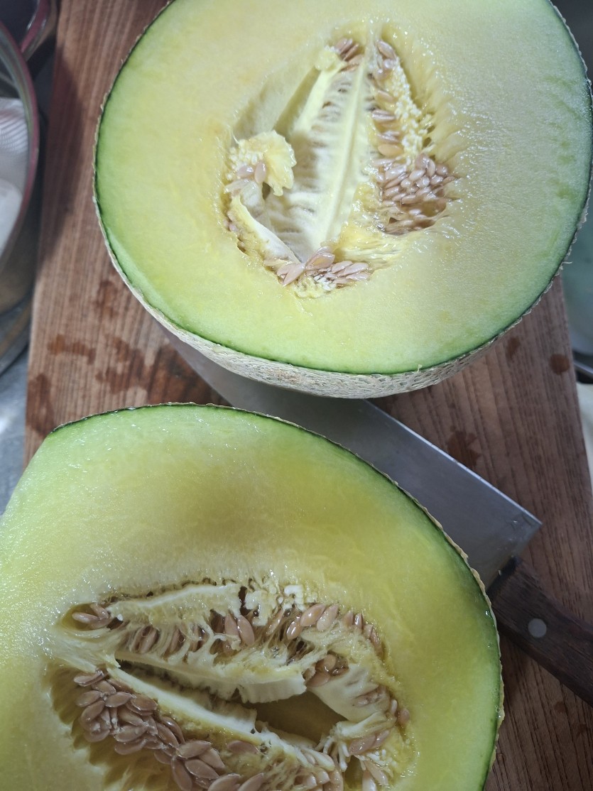 점심은 패쓰(0)
