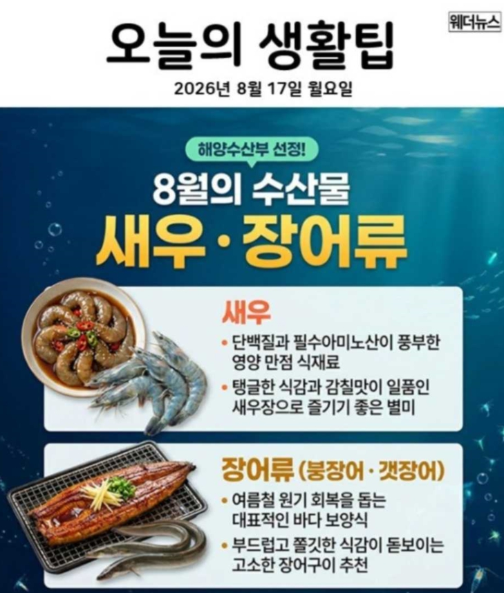 17일 생활꿀팁(0)