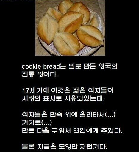 야합니다   ㅂ ㅈ 빵입니다(0)
