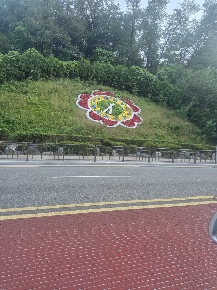 굿모닝 이거머냐(0)