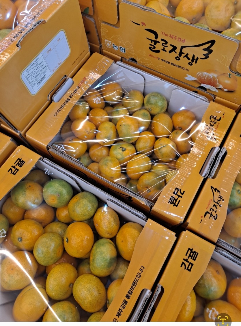 귤보디아ㄷㄷㄷㄷㄷ(0)