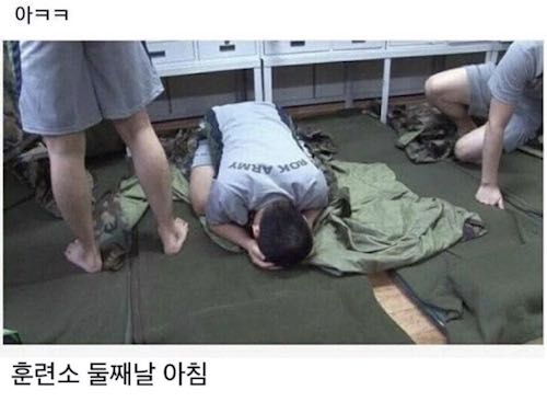 지금 온카판 하고있는게 꿈이라면???(0)