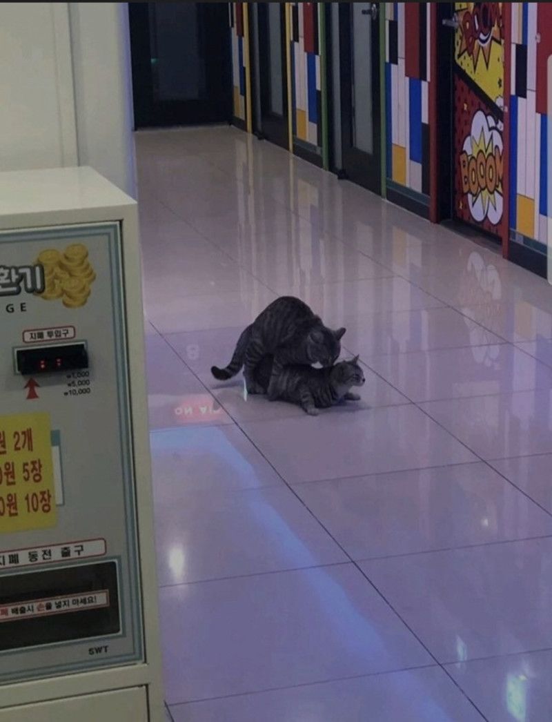 윌럼프 휴게 갑니다(0)