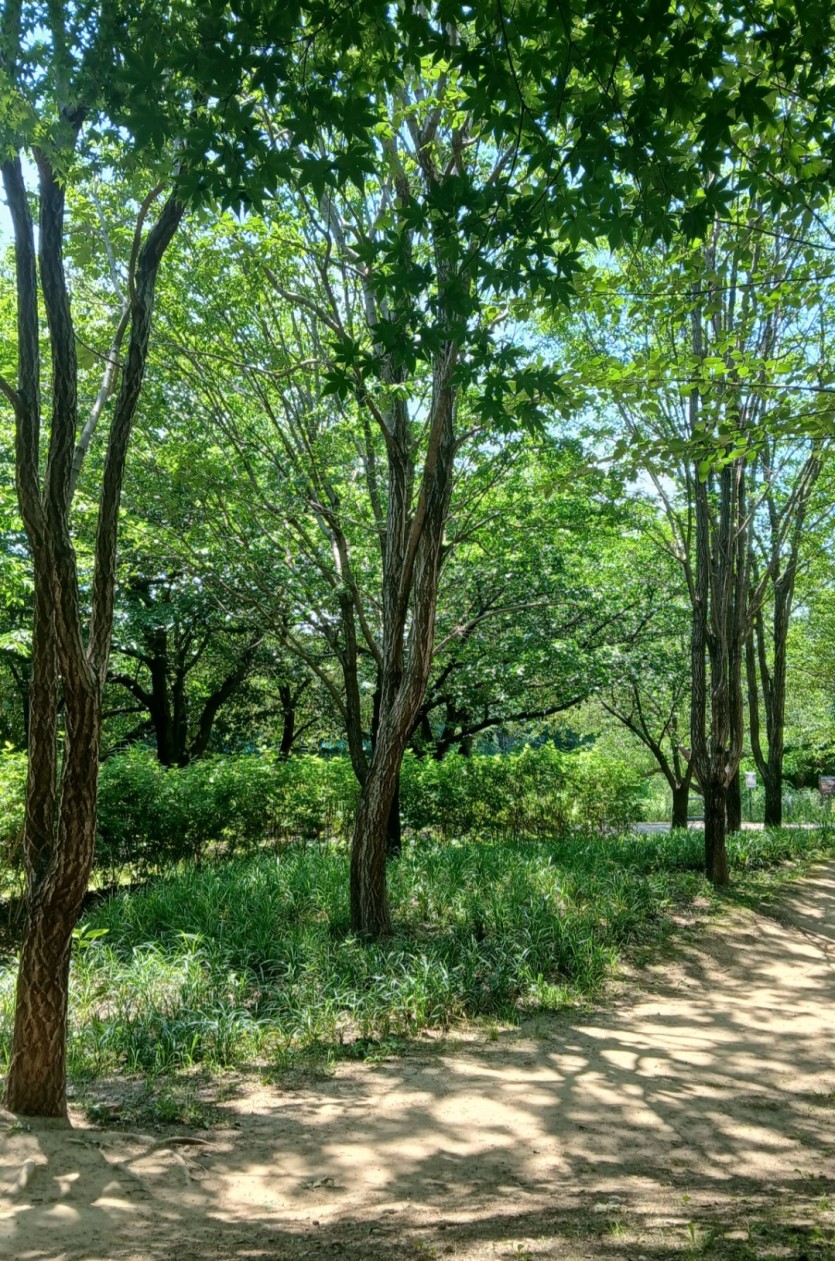 바람쐬러 나와있네요(0)